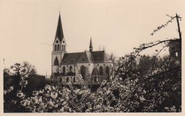 Hier geht es zur Karte mit dem Motiv 'Katholische Kirche über Blüten hinweg'