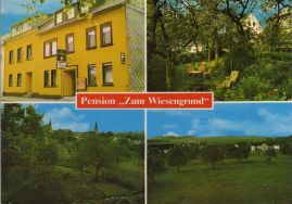 Hier geht es zur Karte mit dem Motiv 'Pension Wiesengrund mit Liegewiese'